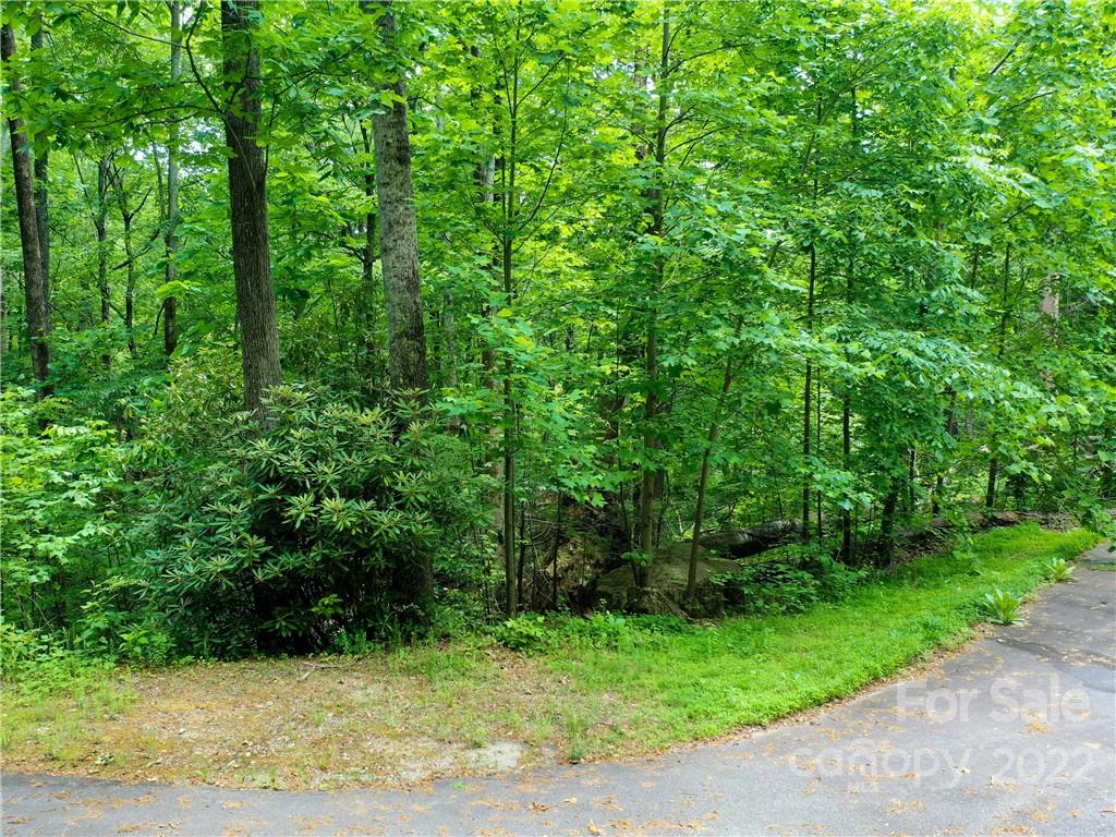 Lot 2072 Anthony Court Mill Spring, NC 28756 - Photo 17 of 17 a view of a yard with plants and large trees