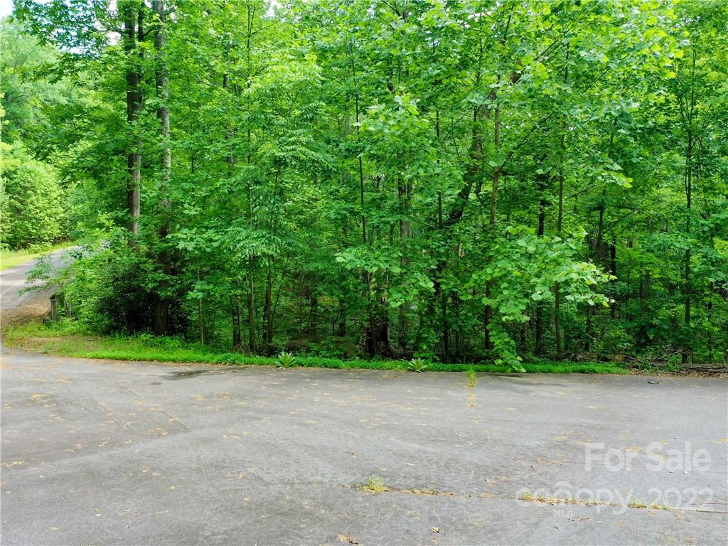 Lot 2072 Anthony Court Mill Spring, NC 28756 - Photo 3 of 17 a view of outdoor space and yard