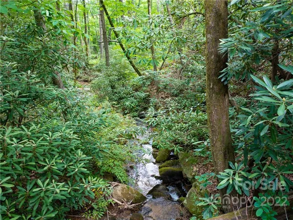 $275,000 | Lot 2072 Anthony Court, Mill Spring, NC 28756