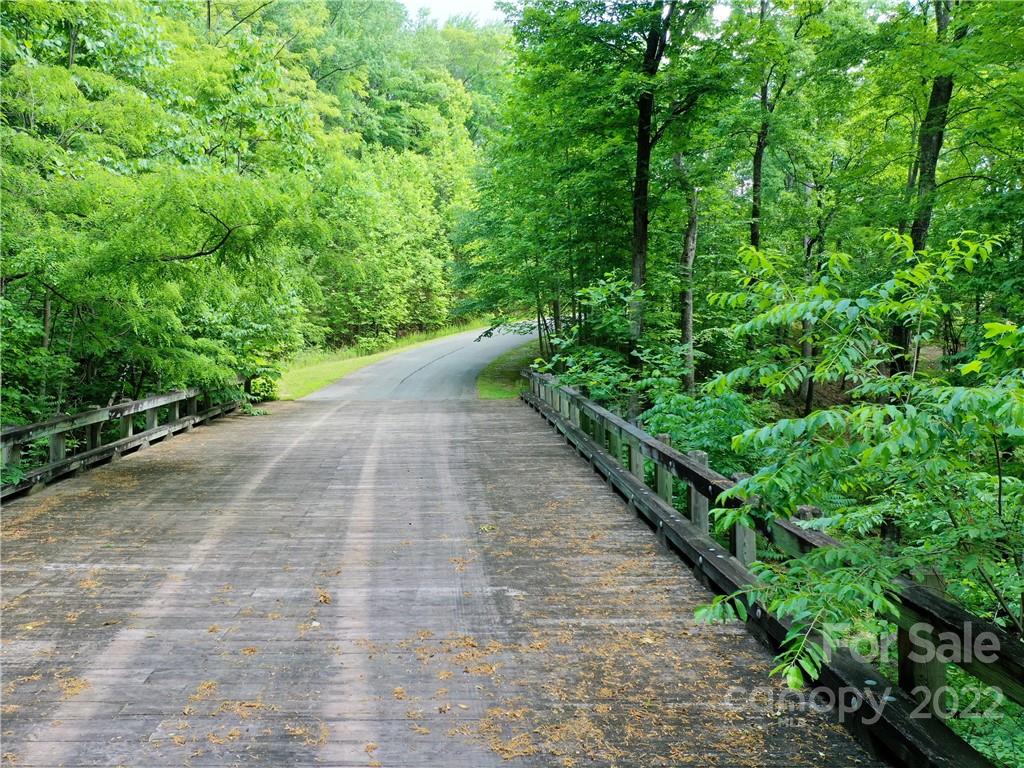 Lot 2072 Anthony Court Mill Spring, NC 28756 - Photo 5 of 17 a view of a garden