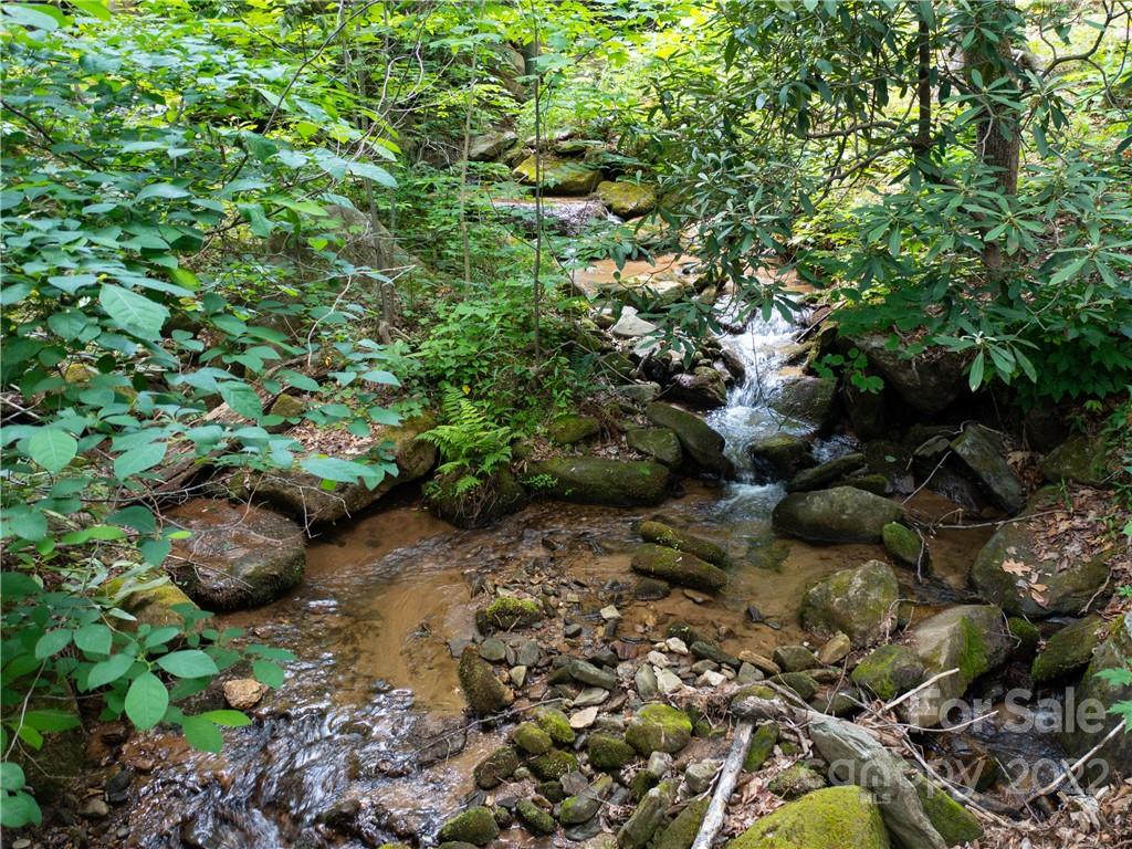 Lot 2072 Anthony Court Mill Spring, NC 28756 - Photo 6 of 17 a backyard of a house with lots of plants and trees