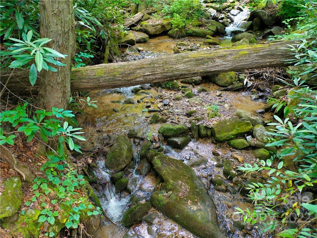 Lot 2072 Anthony Court Mill Spring, NC 28756 - Photo 7 of 17 a view of a garden with plants