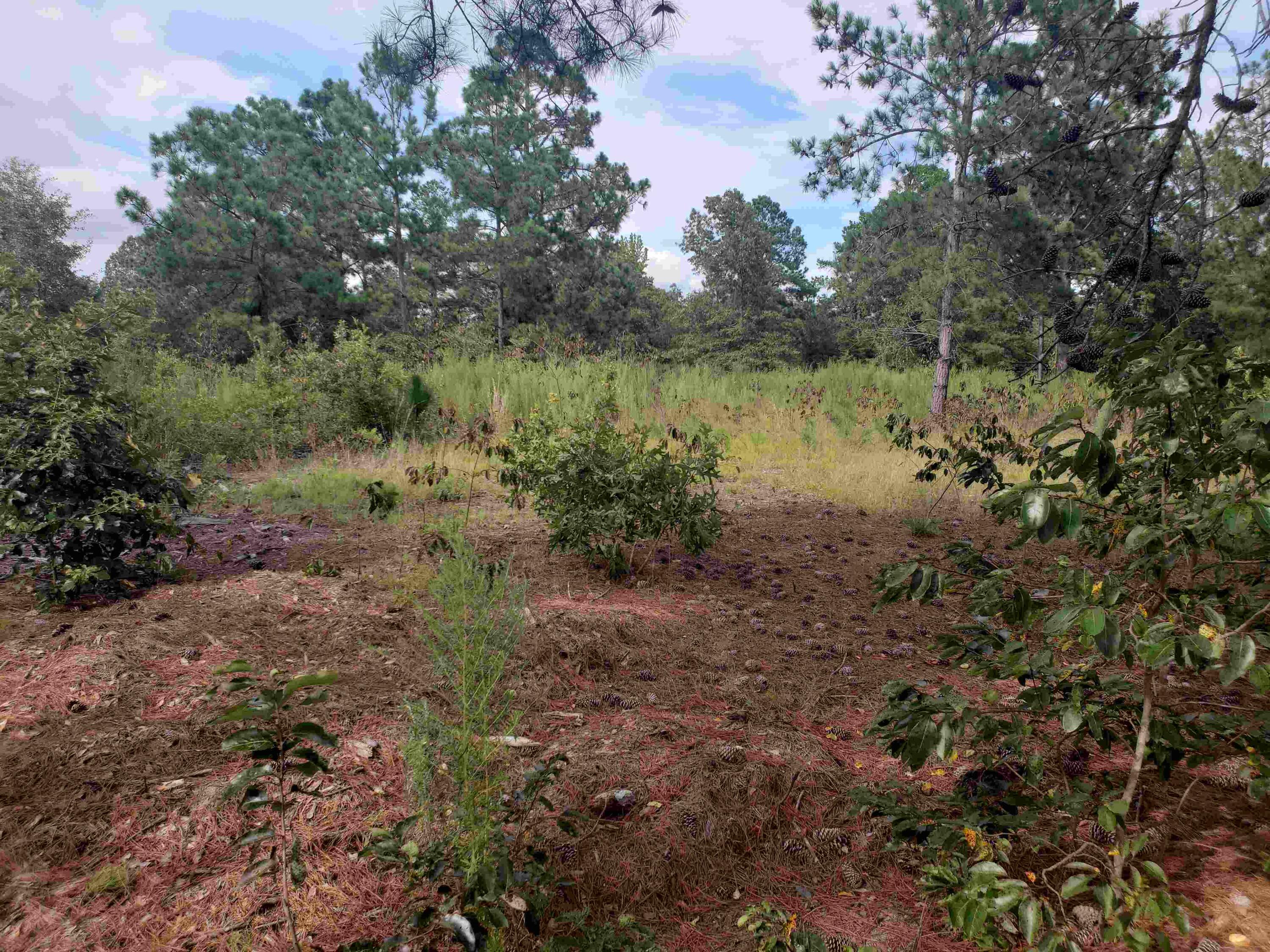 3018 Ebenezer Road Sumter, SC 29153 - Photo 25 of 39 20230729_171255_compress35