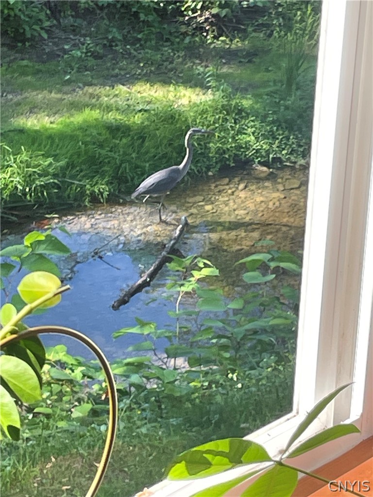 77 Shelter Valley Road Newfield, NY 14867 - Photo 30 of 37 Blue Heron paradise