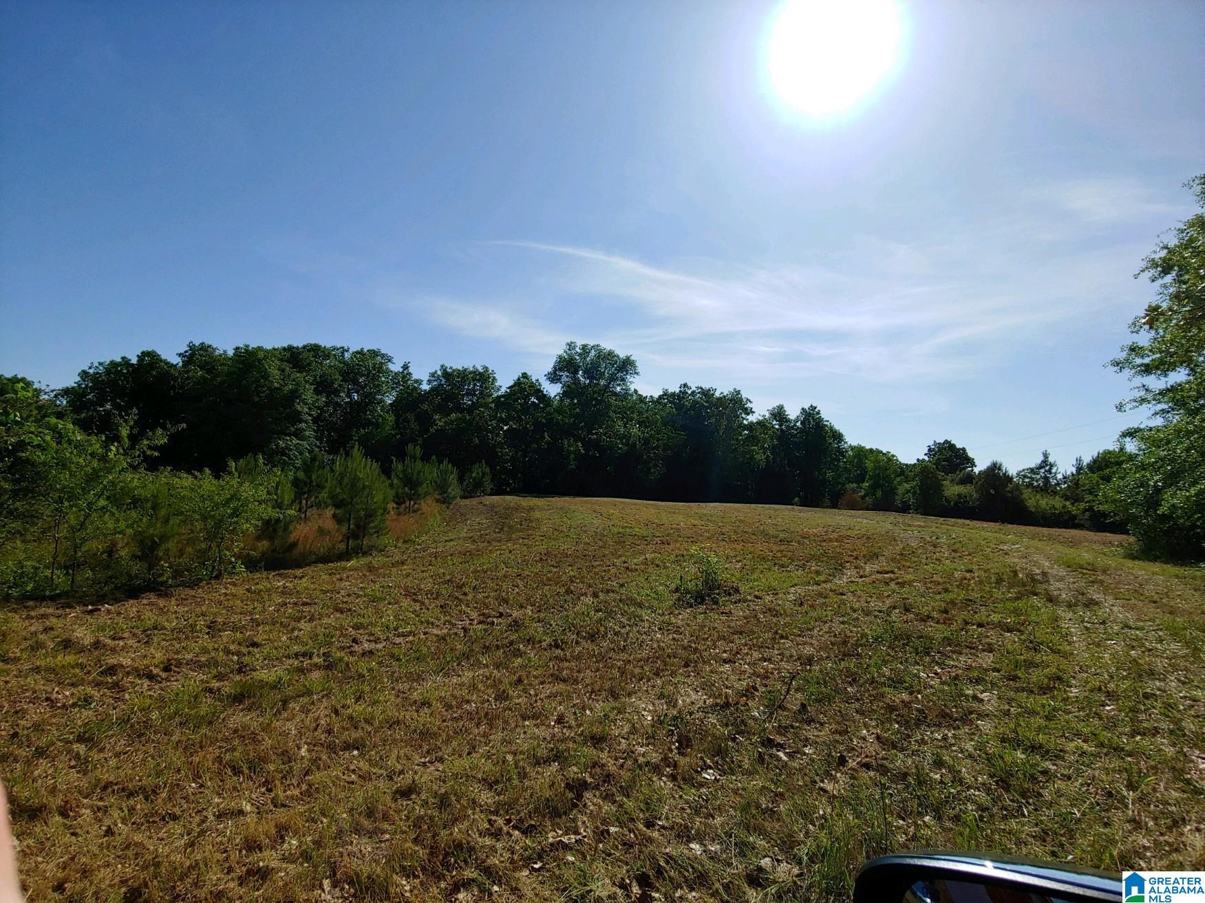 0 County Road 83, Unit 1 Clanton, AL 35045 - Photo 1 of 1