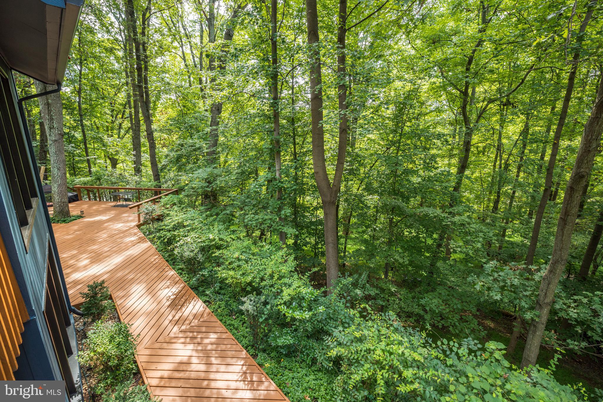 11256 Oakton Road Oakton, VA 22124 - Photo 26 of 68