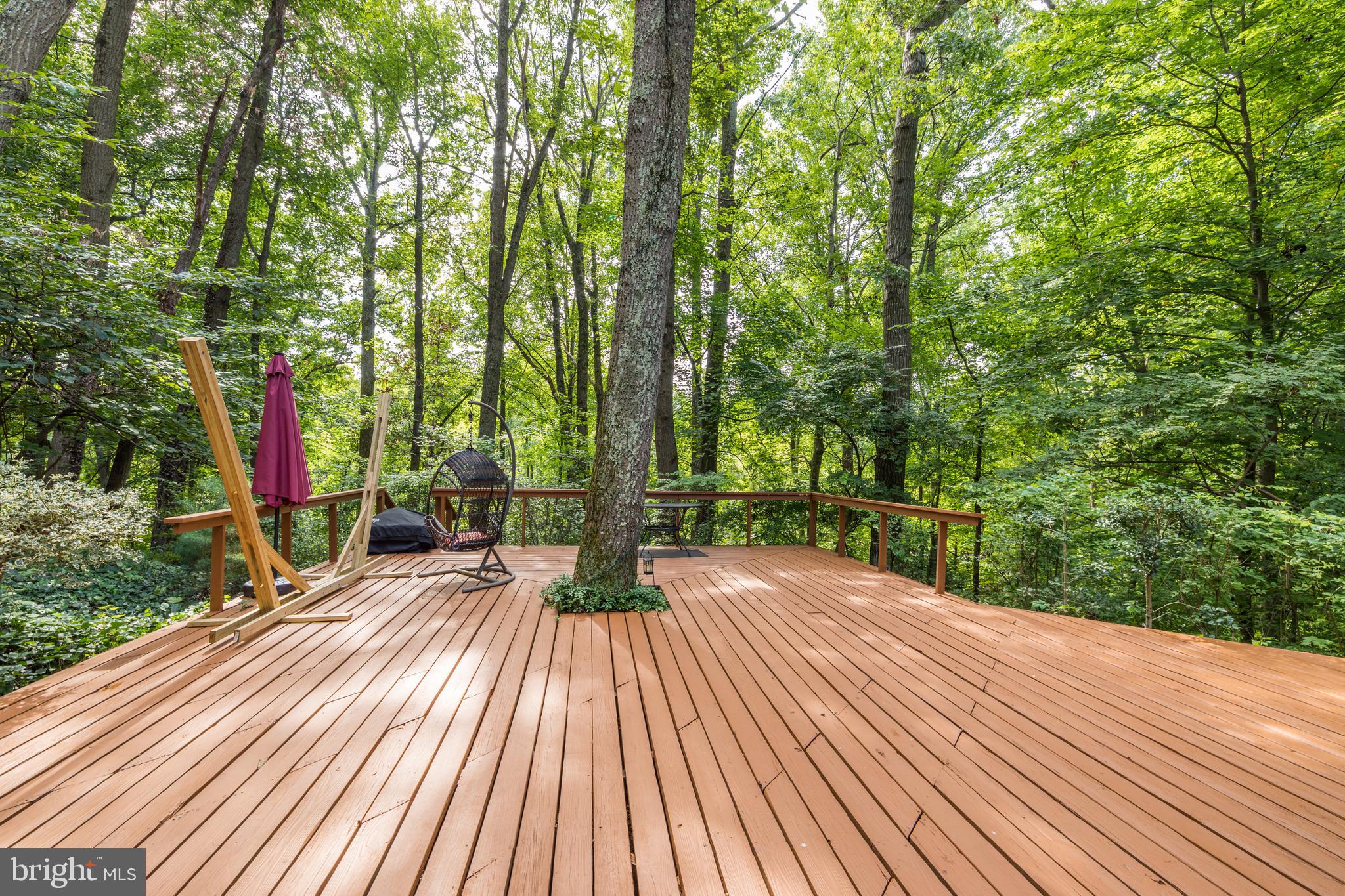 11256 Oakton Road Oakton, VA 22124 - Photo 61 of 68