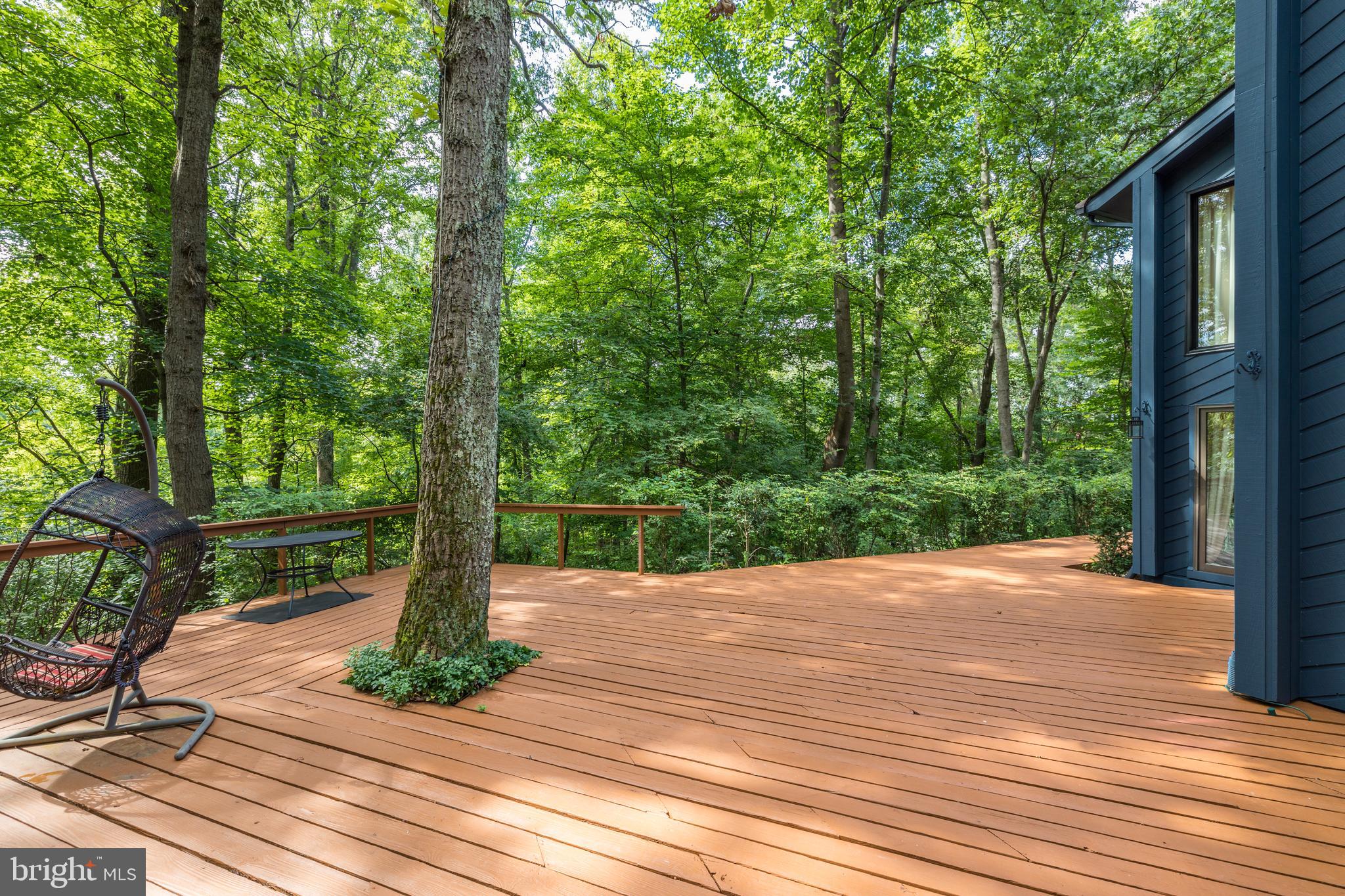 11256 Oakton Road Oakton, VA 22124 - Photo 62 of 68