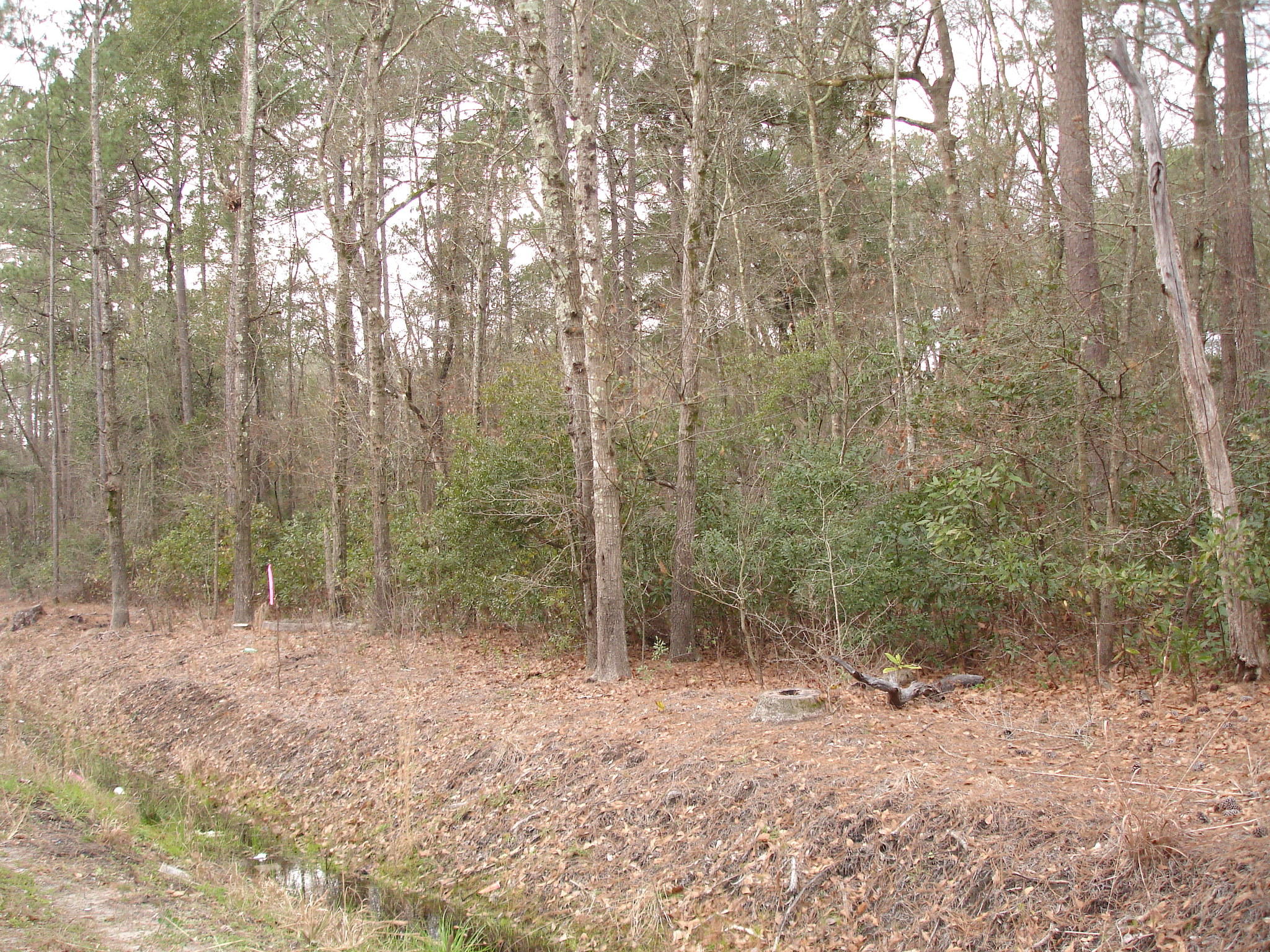 3 New Road Ravenel, SC 29470 - Photo 2 of 2 New Road (1)