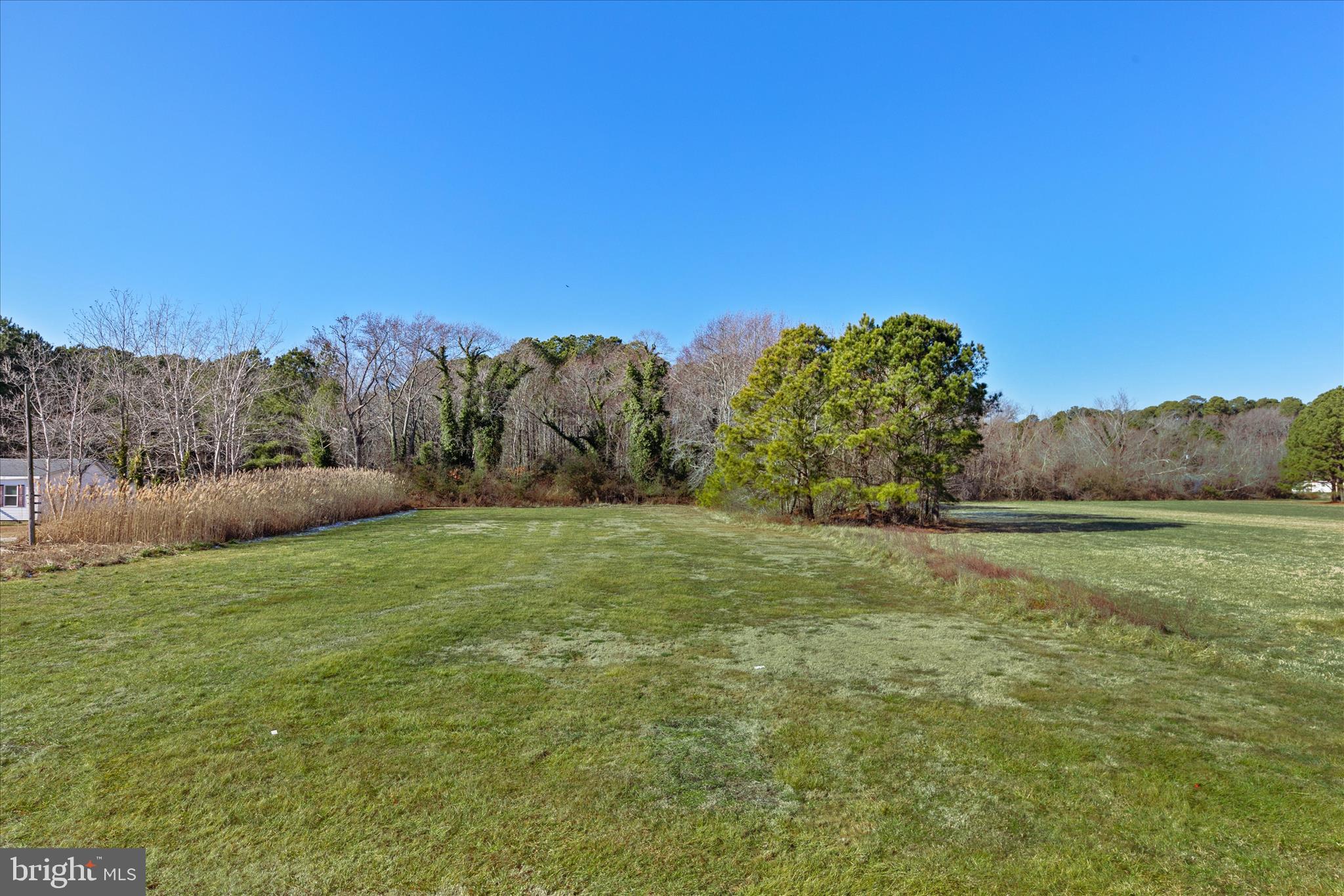 26740 Old State Road Crisfield, MD 21817 - Photo 48 of 49 a big yard with lots of green space