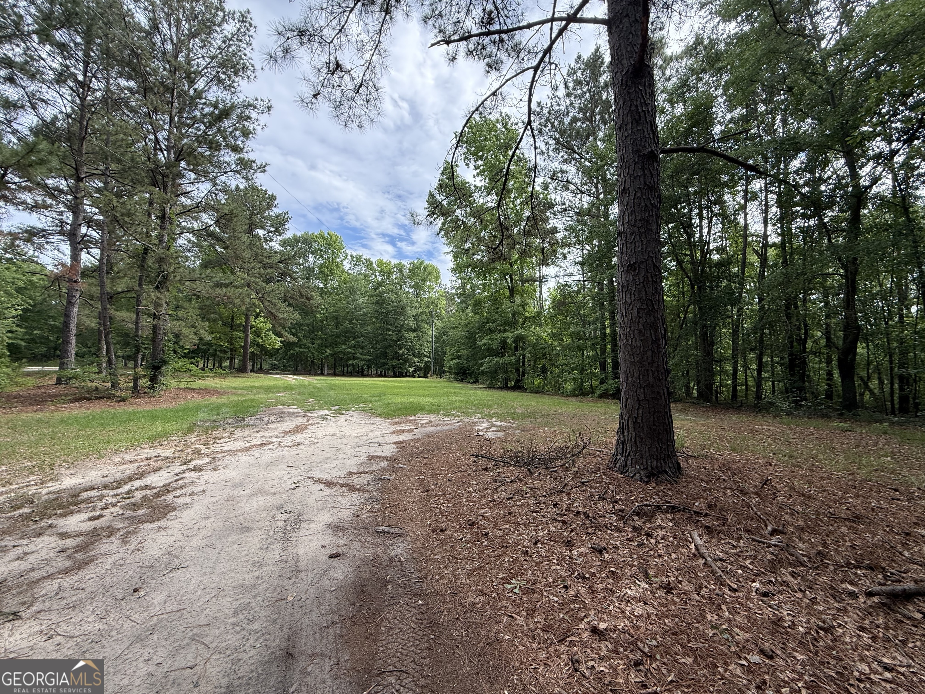 1081 Marshall Church Road Thomson, GA 30824 - Photo 23 of 26 a view of a yard with trees