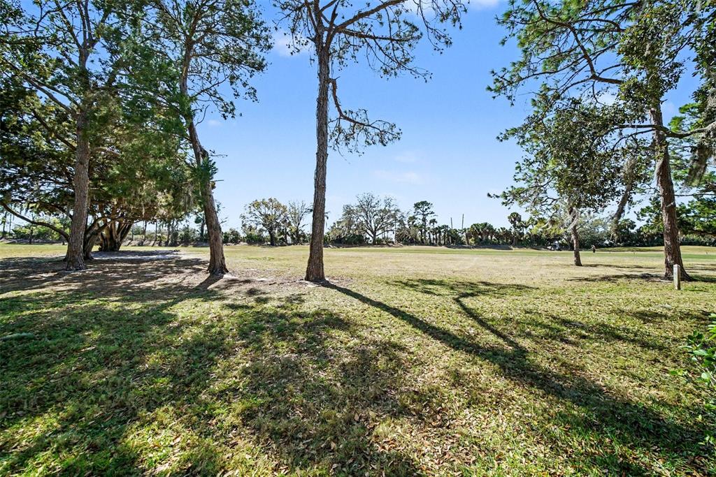 9124 Bassett Lane New Port Richey, FL 34655 - Photo 28 of 41