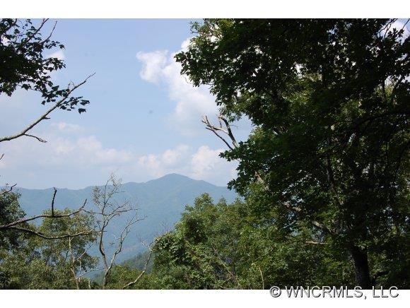 760 Bayless Farm Road Canton, NC 28716 - Photo 1 of 12