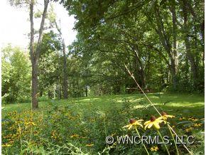 760 Bayless Farm Road Canton, NC 28716 - Photo 2 of 12