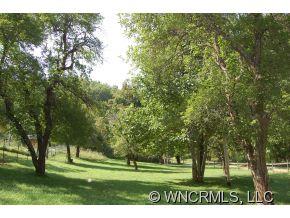 760 Bayless Farm Road Canton, NC 28716 - Photo 11 of 12