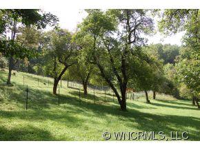 760 Bayless Farm Road Canton, NC 28716 - Photo 12 of 12