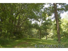 760 Bayless Farm Road Canton, NC 28716 - Photo 3 of 12