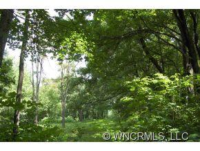 760 Bayless Farm Road Canton, NC 28716 - Photo 4 of 12
