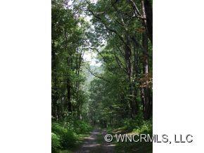 760 Bayless Farm Road Canton, NC 28716 - Photo 5 of 12