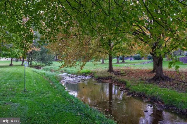 a view of a lake with a yard