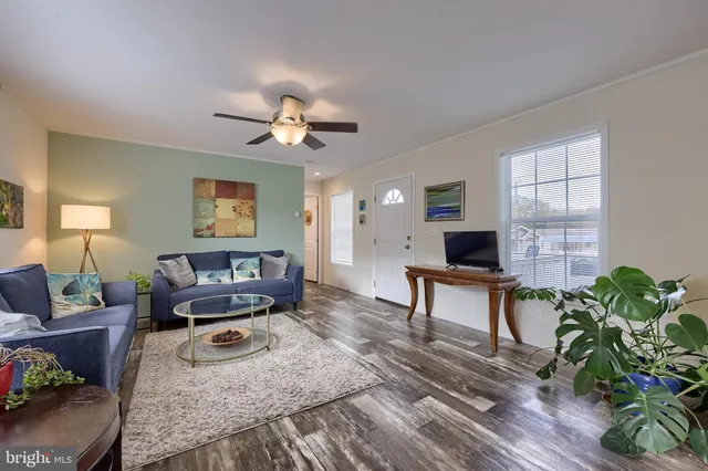 a living room with furniture a window and a potted plant