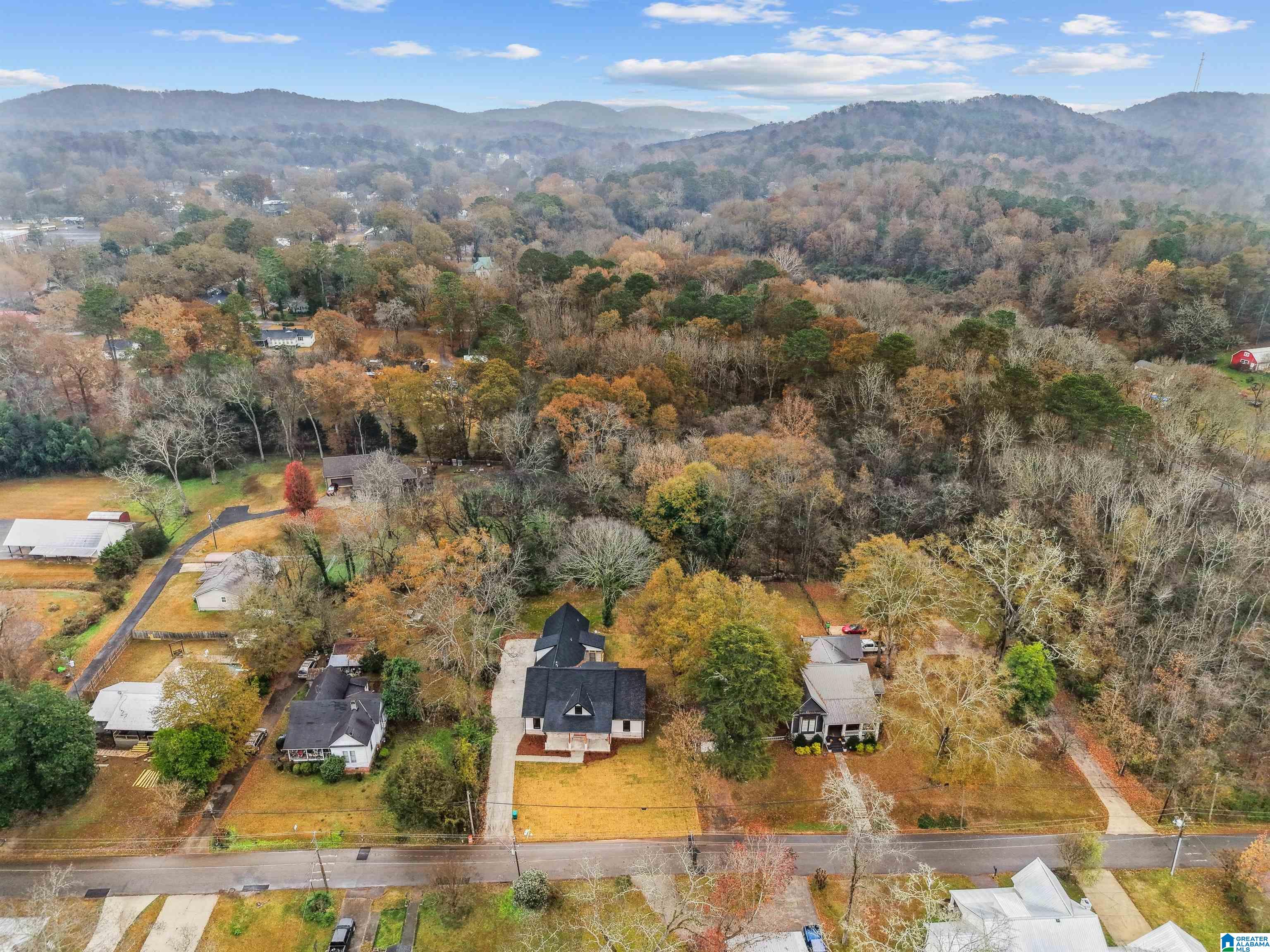 282 Robinson Street Springville, AL 35146 - Photo 60 of 68