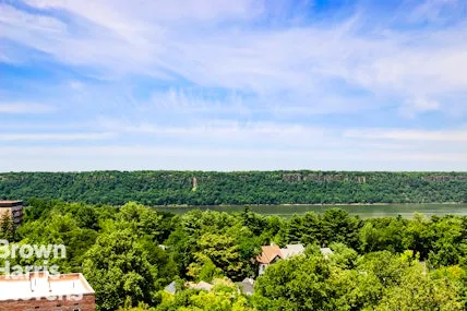 a view of a big yard with plants and large trees