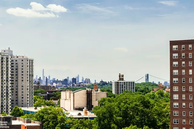 a view of a green field with lots of bushes