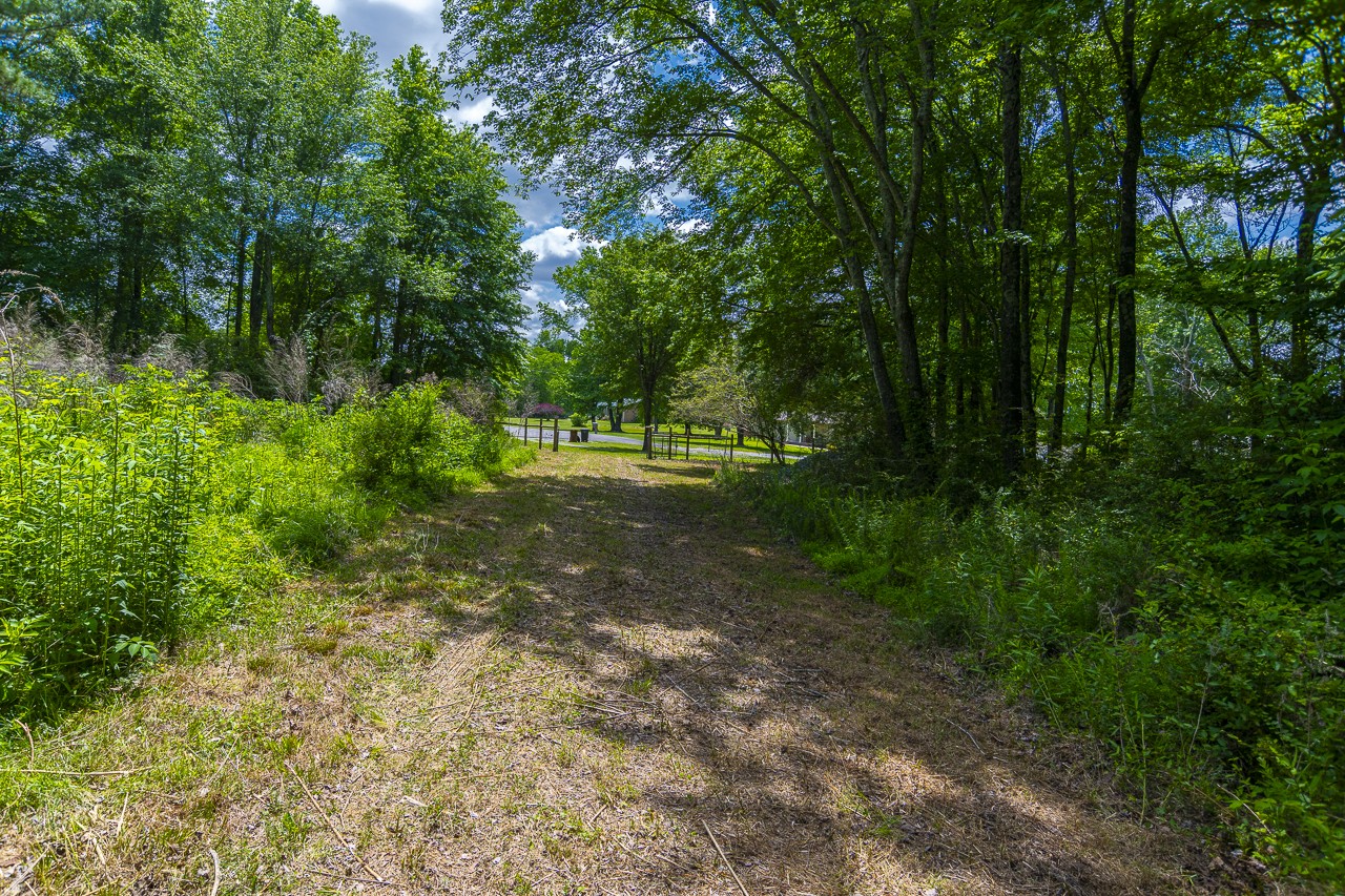 23 Grassy Branch Road Flintville, TN 37335 - Photo 4 of 24 a big yard with lots of green space and trees