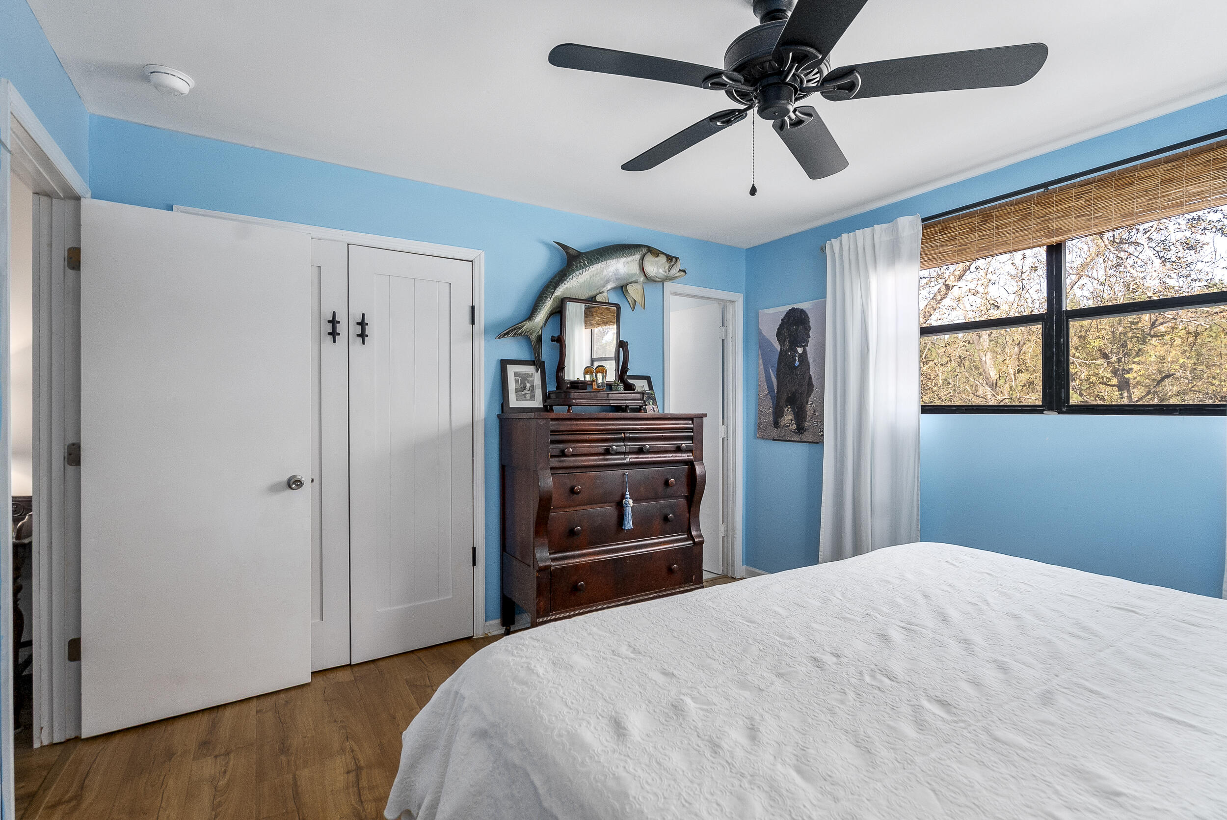 1225 Davis Bridge Road Williston, SC 29853 - Photo 22 of 70 ©MeghannPadgett_1225DavisBridgeRd-26