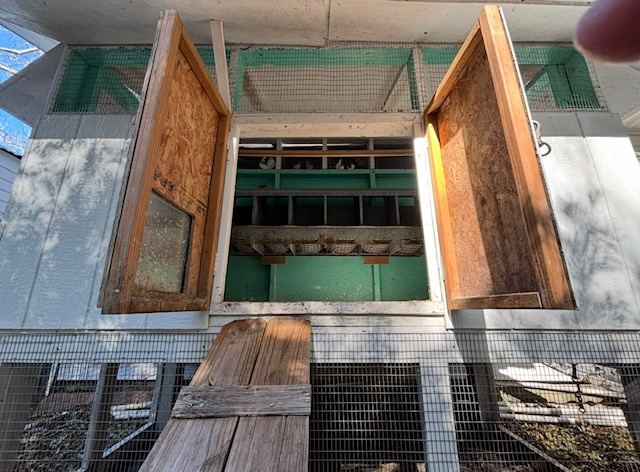 1225 Davis Bridge Road Williston, SC 29853 - Photo 69 of 70 Chicken coop