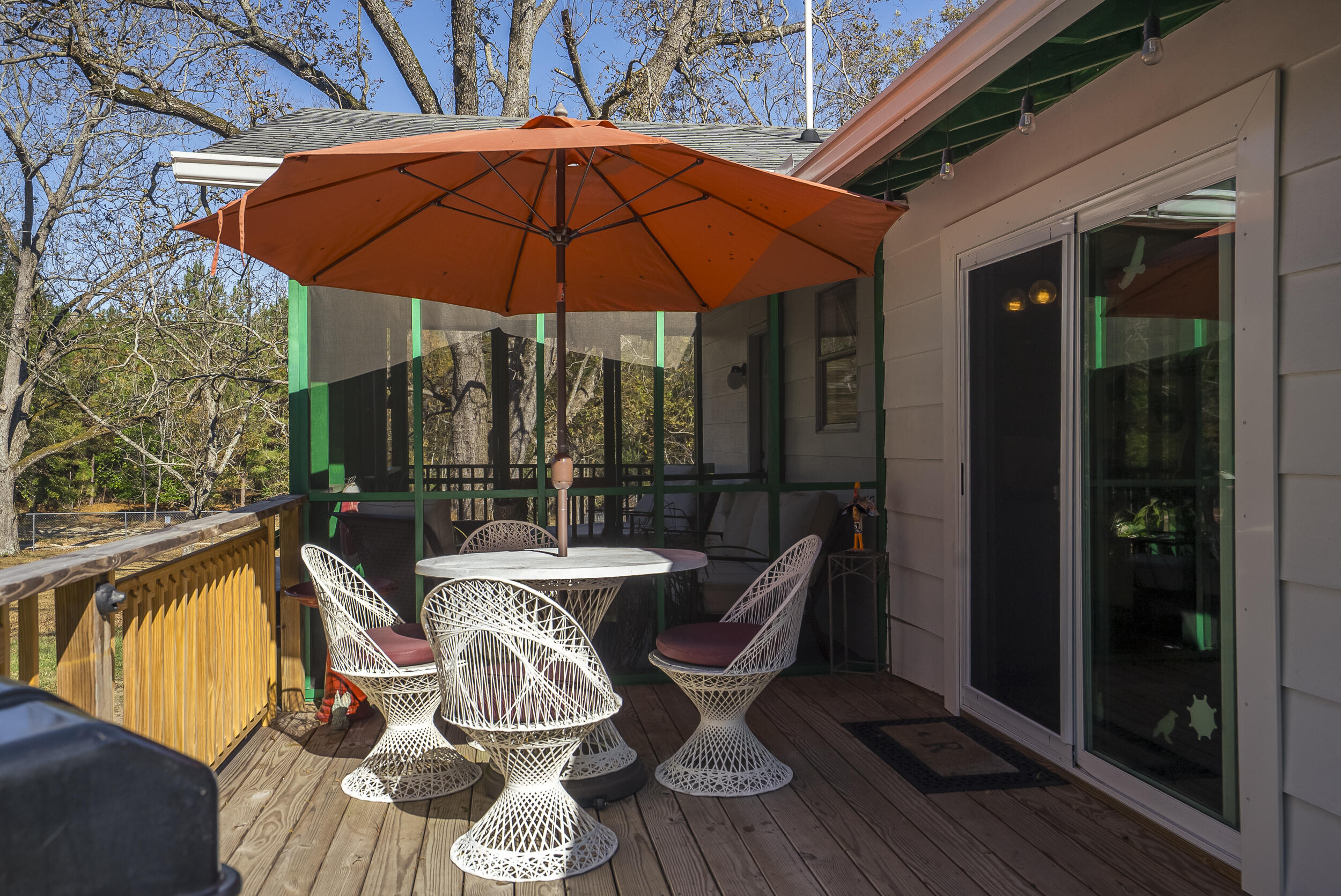 1225 Davis Bridge Road Williston, SC 29853 - Photo 41 of 70 ©MeghannPadgett_1225DavisBridgeRd-45