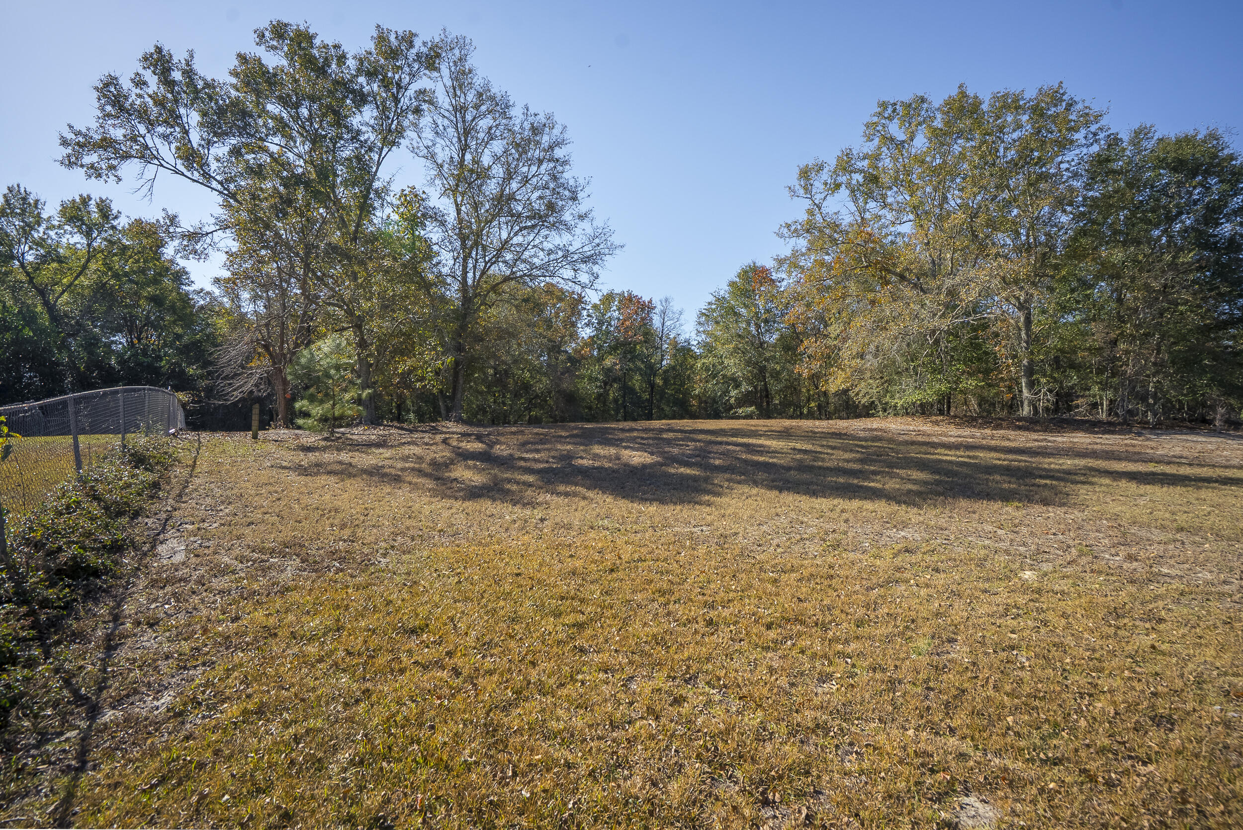 1225 Davis Bridge Road Williston, SC 29853 - Photo 51 of 70 ©MeghannPadgett_1225DavisBridgeRd-55