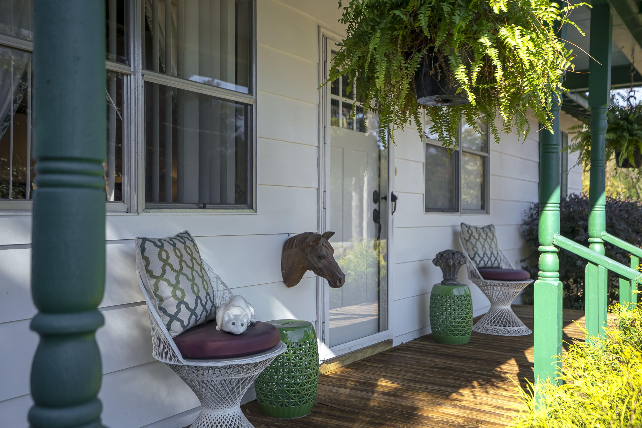 1225 Davis Bridge Road Williston, SC 29853 - Photo 3 of 70 ©MeghannPadgett_1225DavisBridgeRd-7