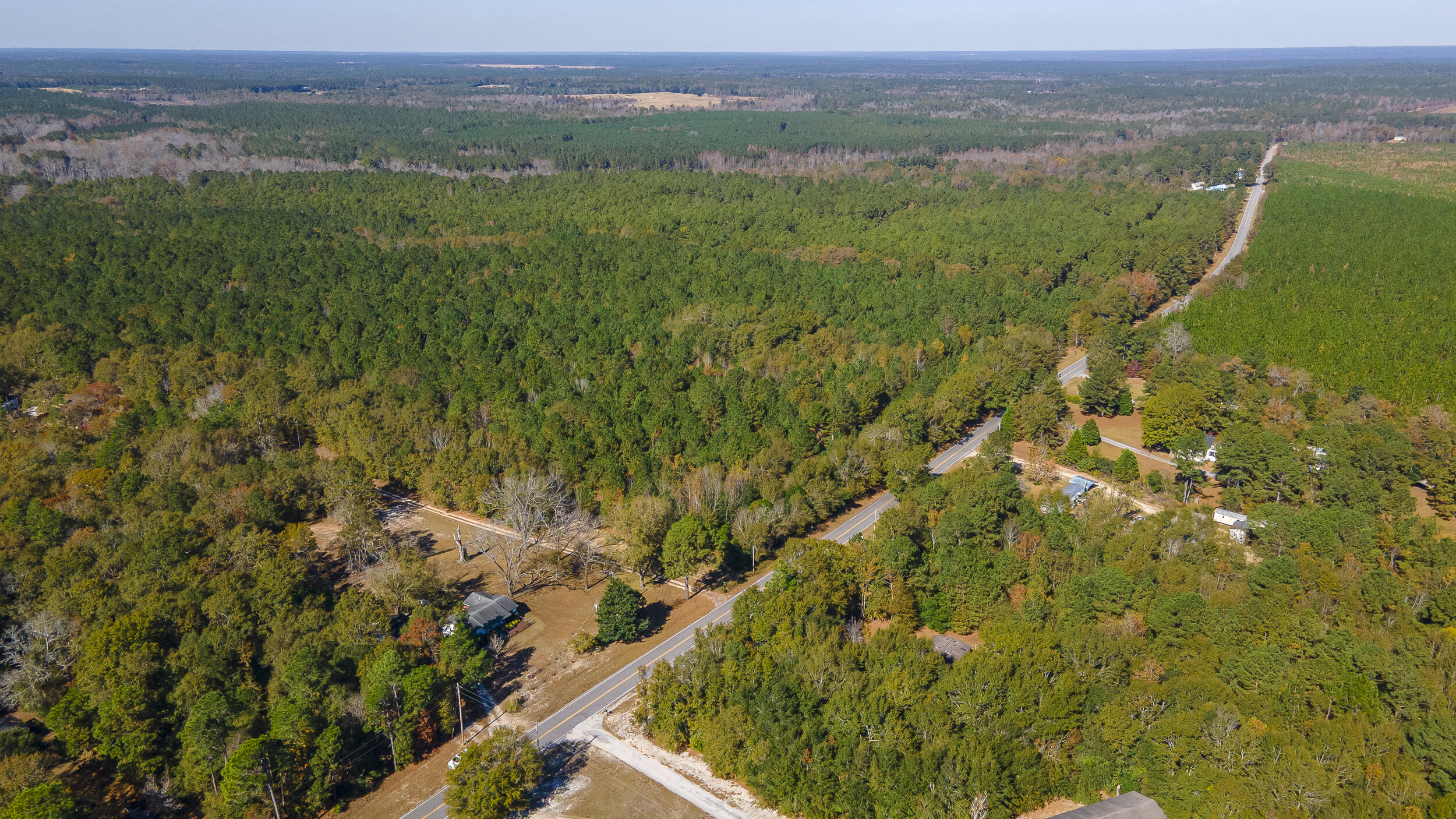 1225 Davis Bridge Road Williston, SC 29853 - Photo 61 of 70 1225DavisBridgeRd_aerial-05