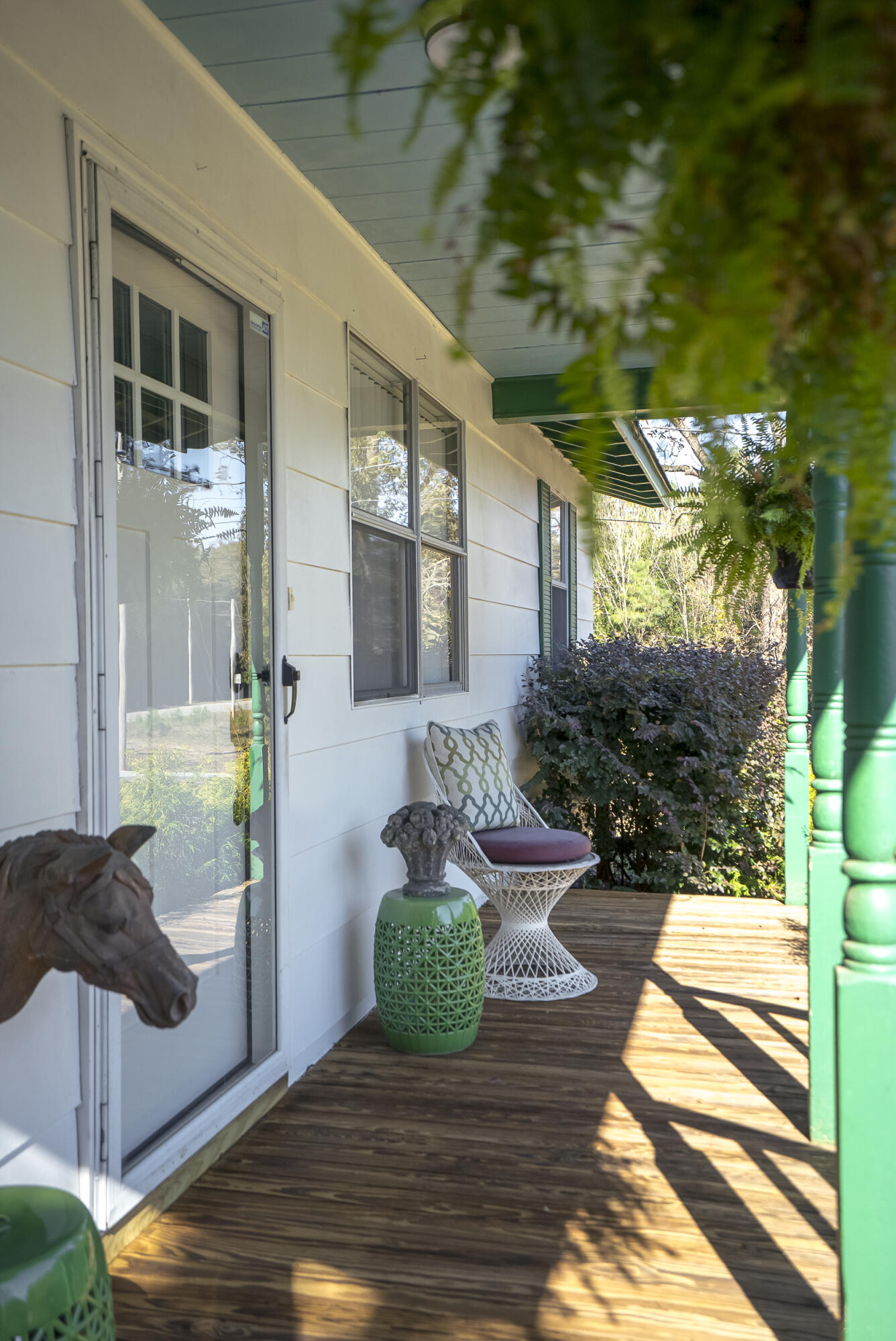 1225 Davis Bridge Road Williston, SC 29853 - Photo 5 of 70 ©MeghannPadgett_1225DavisBridgeRd-9