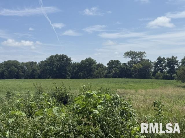14312 Appenzeller Road Mackinaw, IL 61755 - Photo 3 of 7