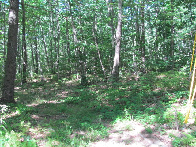 40 Moose Rocks Road Kennebunkport, ME 04046 - Photo 3 of 8 Moose Rocks Road 1405