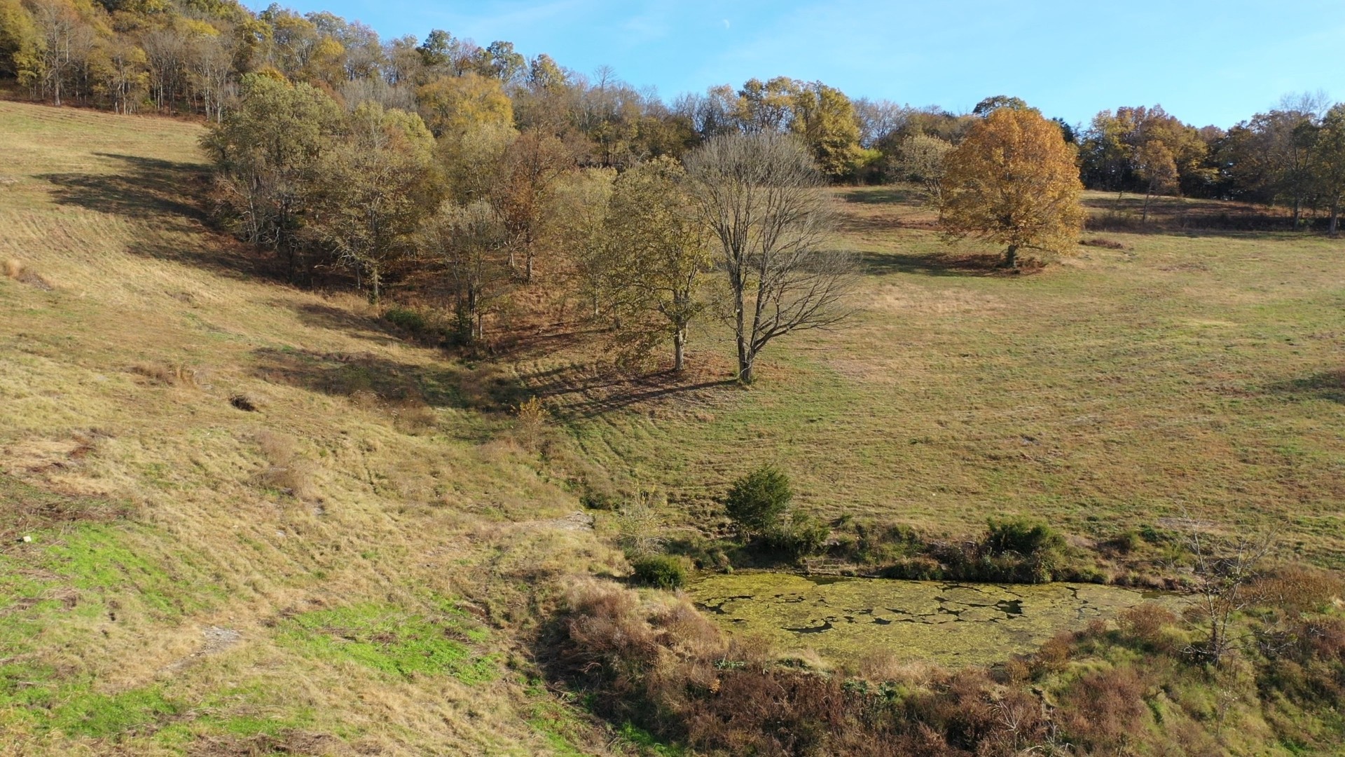 0 Sullivan Bend Road Elmwood, TN 38560 - Photo 9 of 12