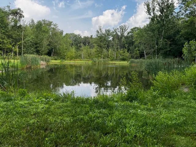 $525,000 | 10660 D Drive South, Ceresco, MI 49033