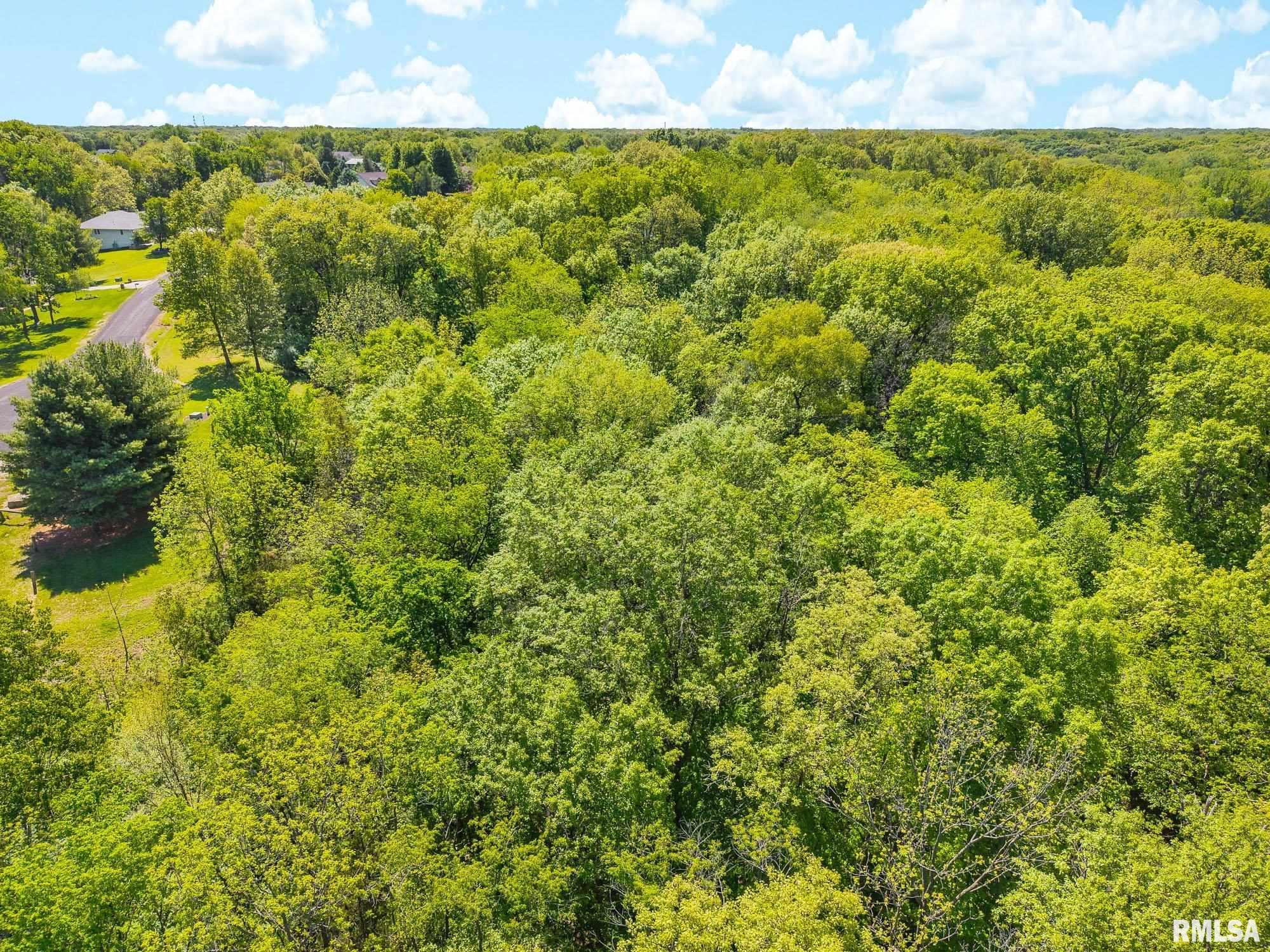 South Walnut Point Drive Mapleton, IL 61547 - Photo 25 of 48