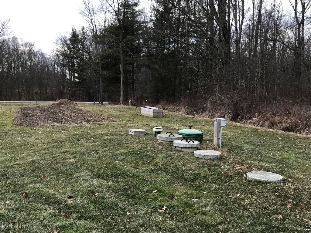 8330 Knauf Road Canfield, OH 44406 - Photo 26 of 34 View of yard