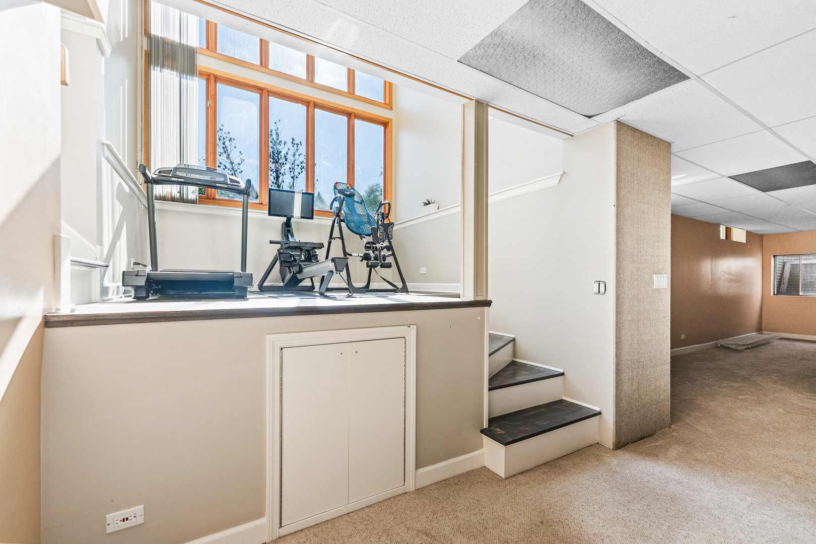 336 Roberts Road Inverness, IL 60010 - Photo 57 of 80