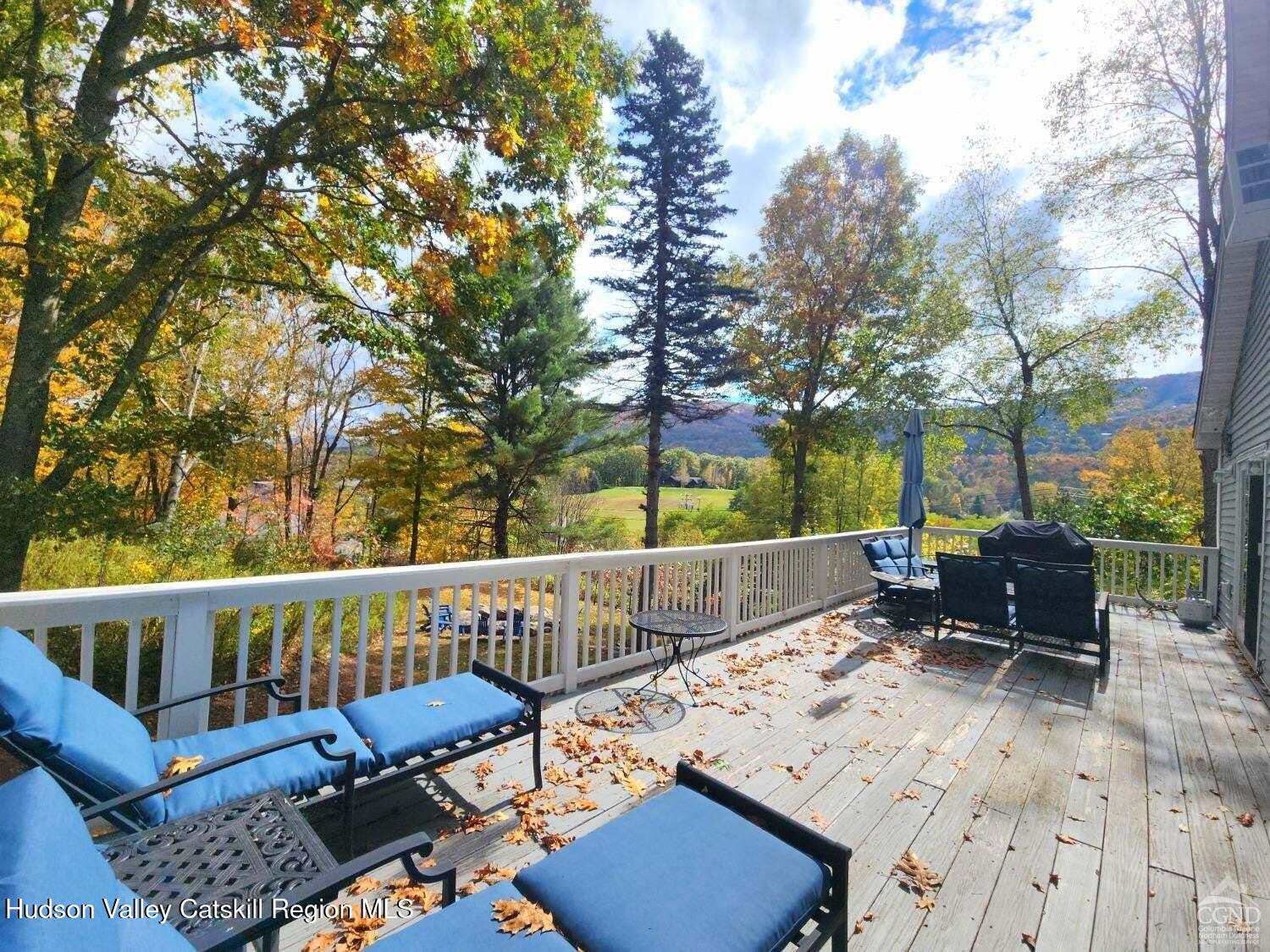 16 Hickory Hill Road Windham, NY 12496 - Photo 32 of 39 20250419032834681445000000-o