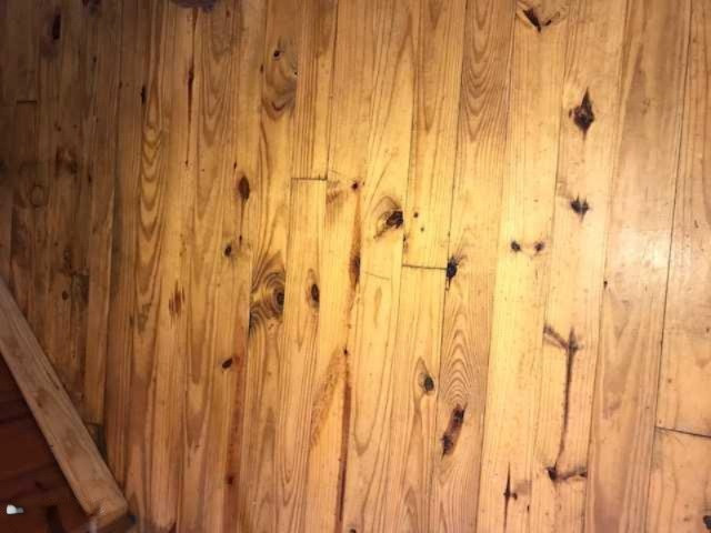 2810 Lorenson Road Muskegon, MI 49445 - Photo 8 of 21 download (10)