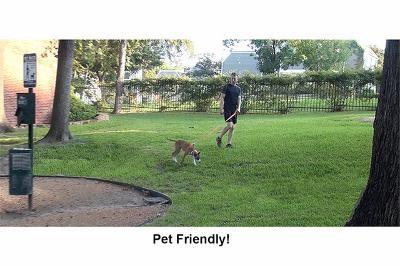 8601 Park Lane, Unit 414 Dallas, TX 75231 - Photo 17 of 23 a view of a park