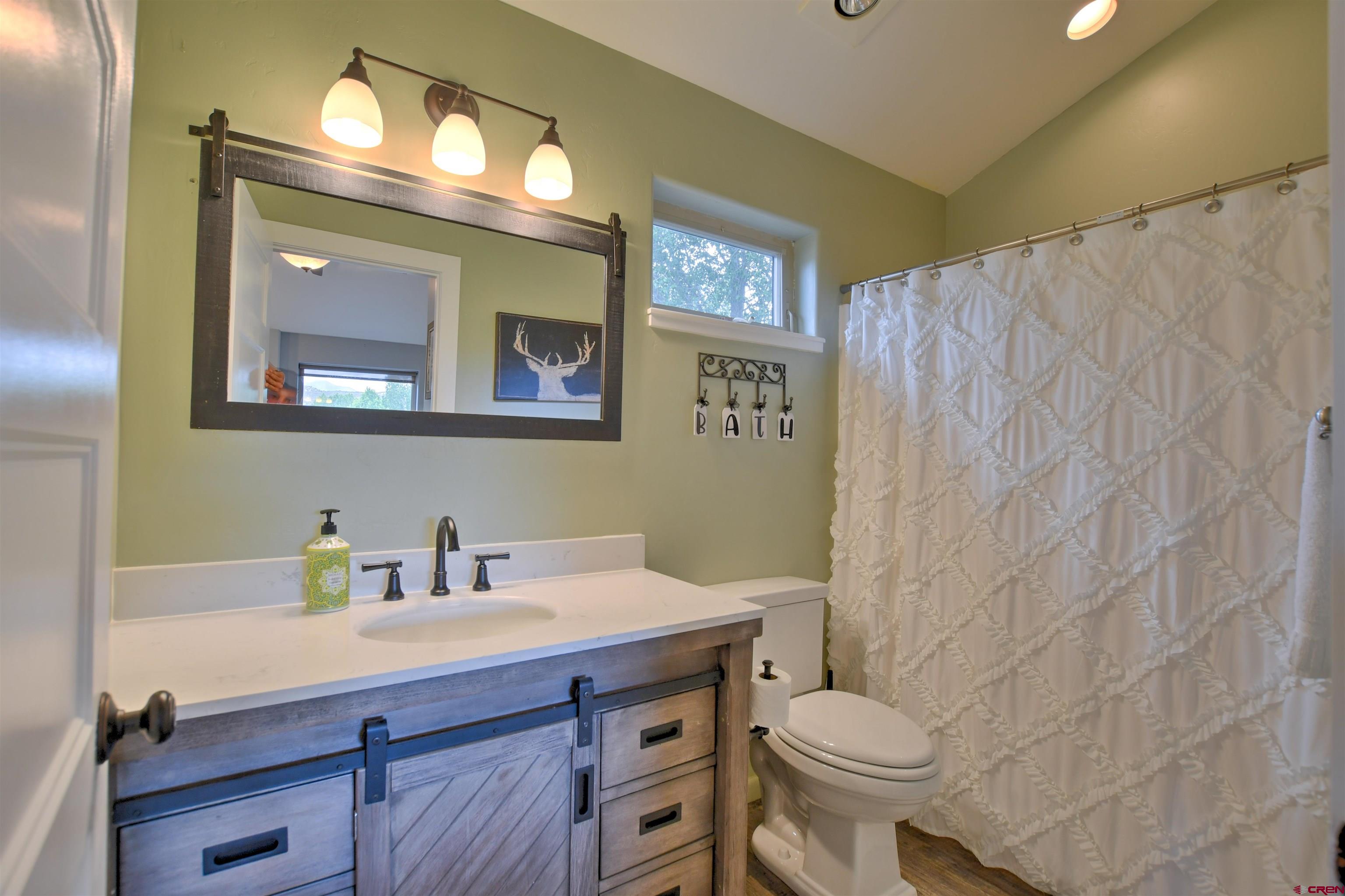 602 Chipeta Drive Ridgway, CO 81432 - Photo 26 of 41 a bathroom with a toilet sink and mirror
