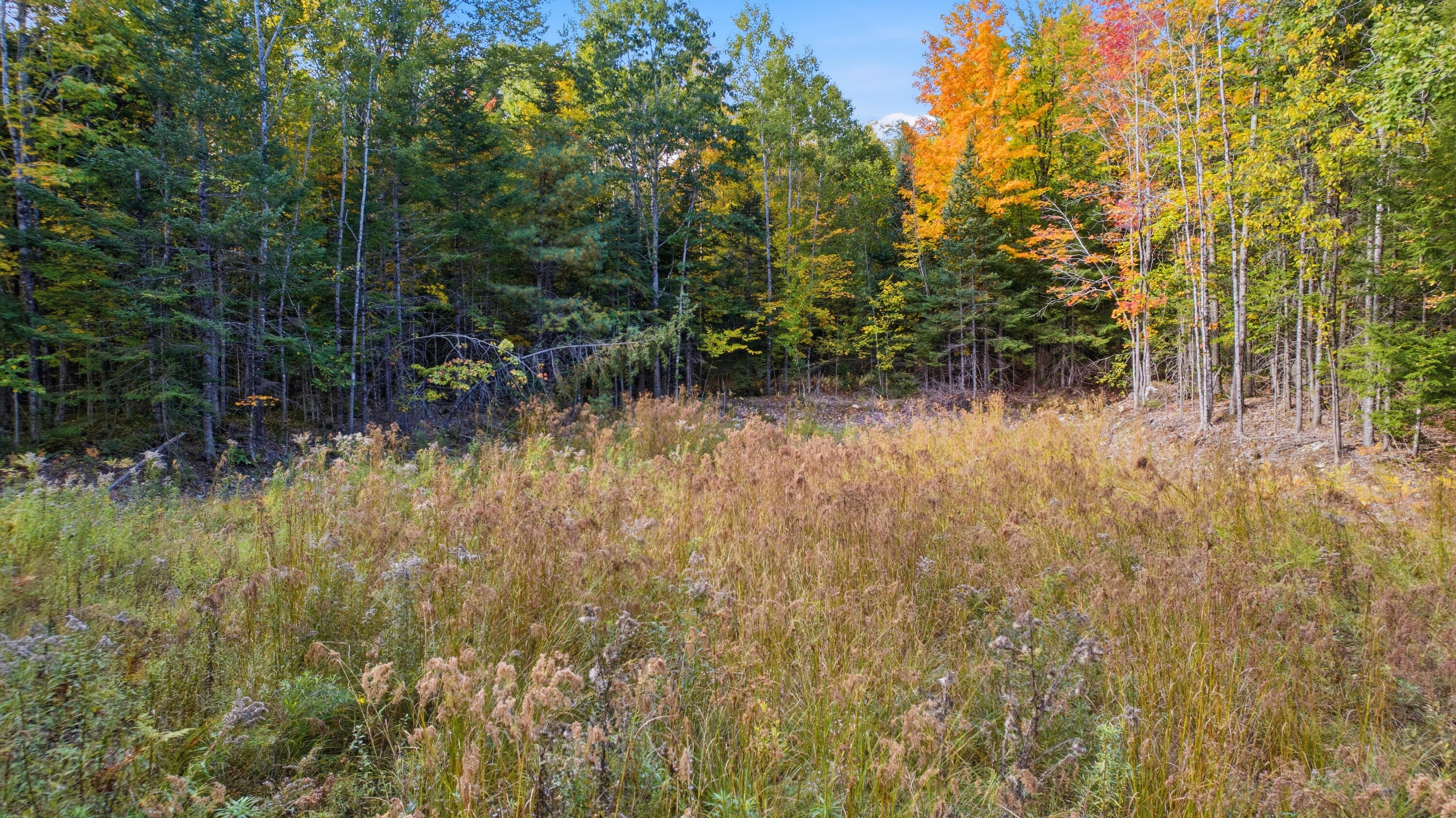 Lot 6 River Road Sumner, ME 04292 - Photo 10 of 39 Lot 6 River Sumner-24