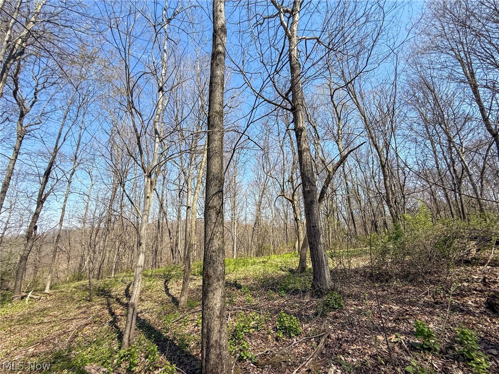 Claysville Road Cumberland, OH 43732 - Photo 27 of 47