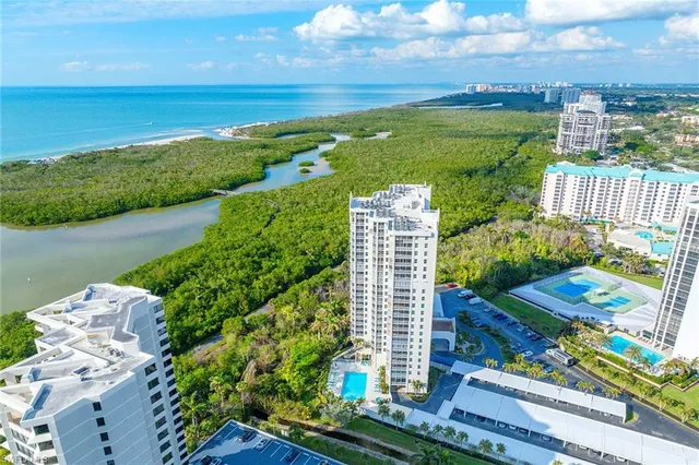 a view of a big yard with plants and large trees